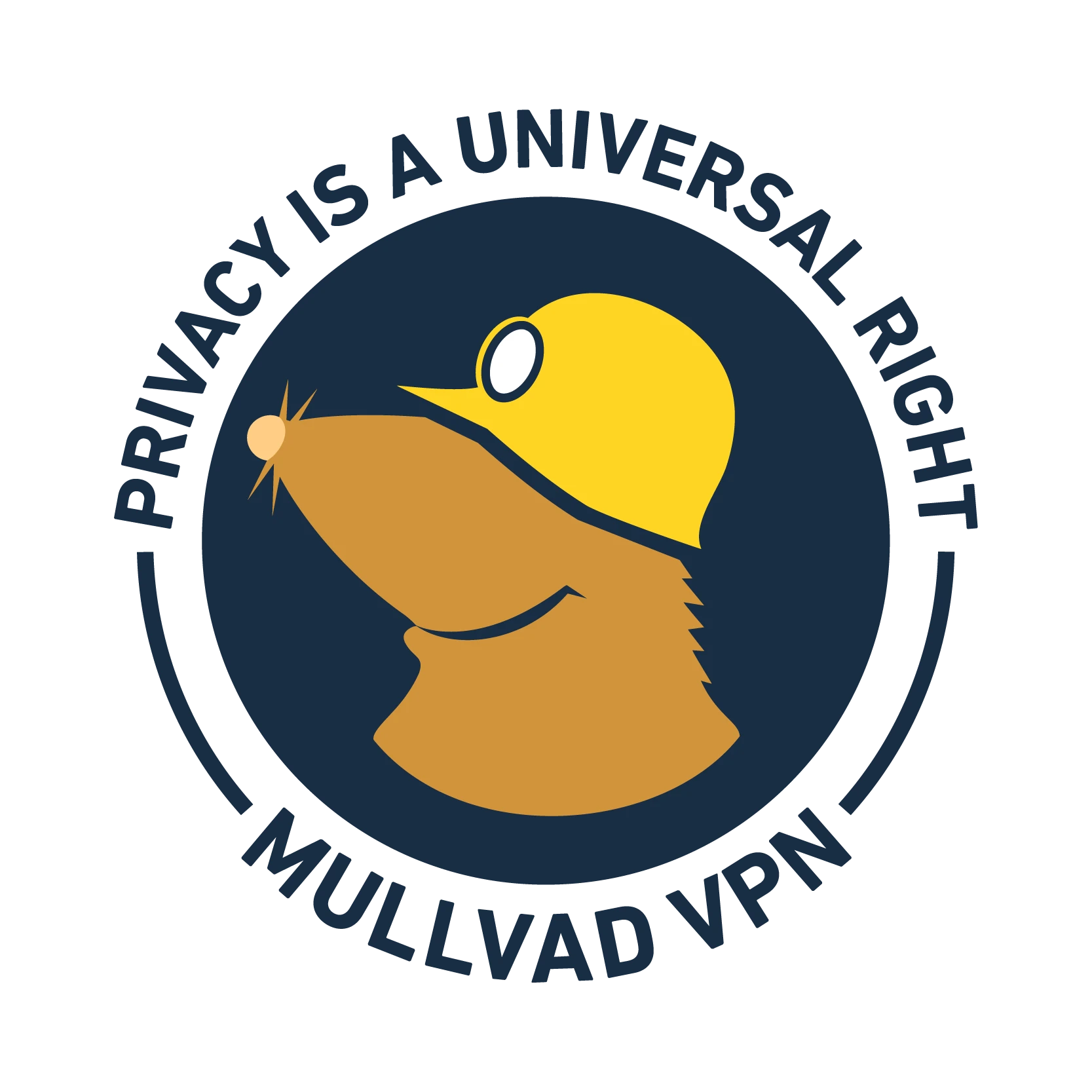 Mullvad 浏览器 13.5 发布，带来了信箱框改进和新的安装选项